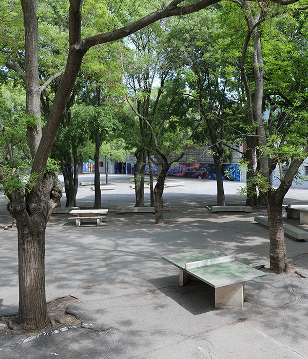 Assomption Montpellier - cour collège